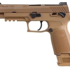 Real P320-M17