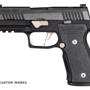 New P320 AXG Equinox
